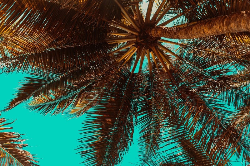 Summer Beach